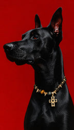 AURA BUDDY · Rock Cross Collar