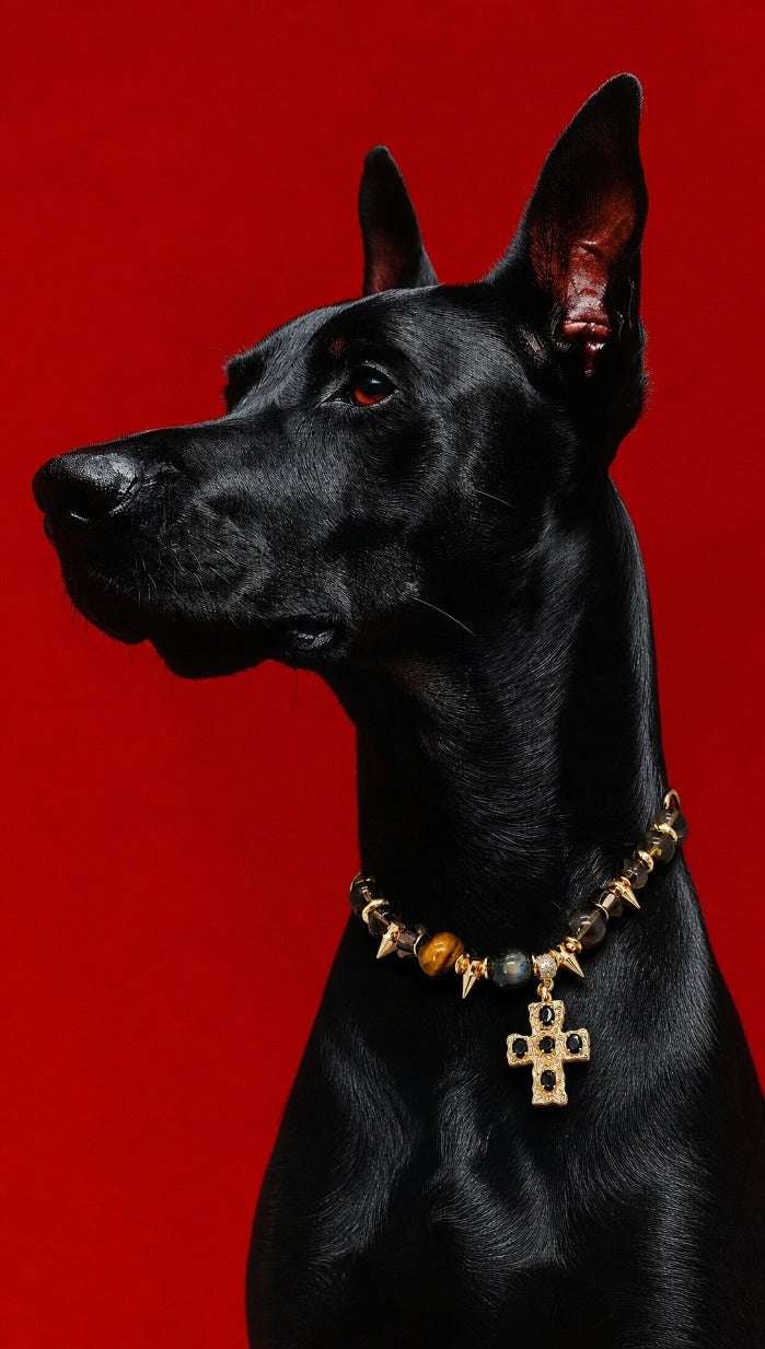 AURA BUDDY · Rock Cross Collar